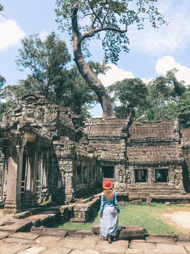 Angkor Temples_Ta Prohm